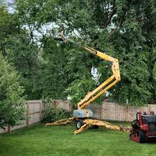 Best Tree Risk Assessment  in Lockport Heights, LA