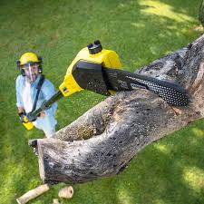 Best Lawn Maintenance Plans  in Lockport Heights, LA