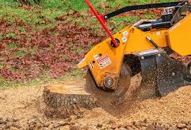 Best Aeration Services  in Lockport Heights, LA